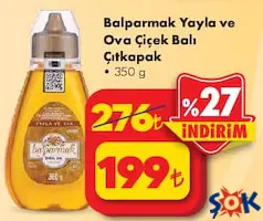 BALPARMAK YAYLA VE OVA ÇİÇEK BALI ÇIT KAPAK 350 G